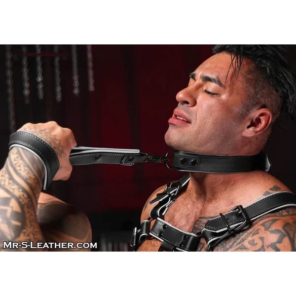 Mr.S Leather Hardline Collar | 11 Colours