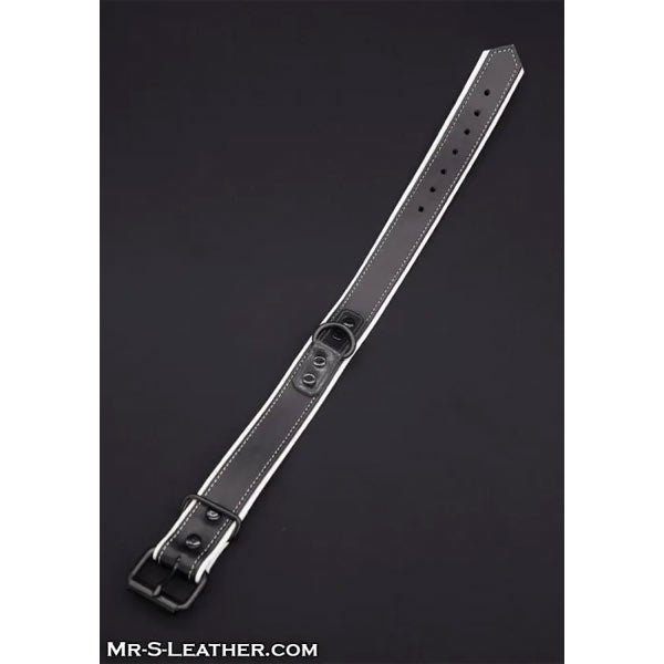Mr.S Leather Hardline Collar | 11 Colours