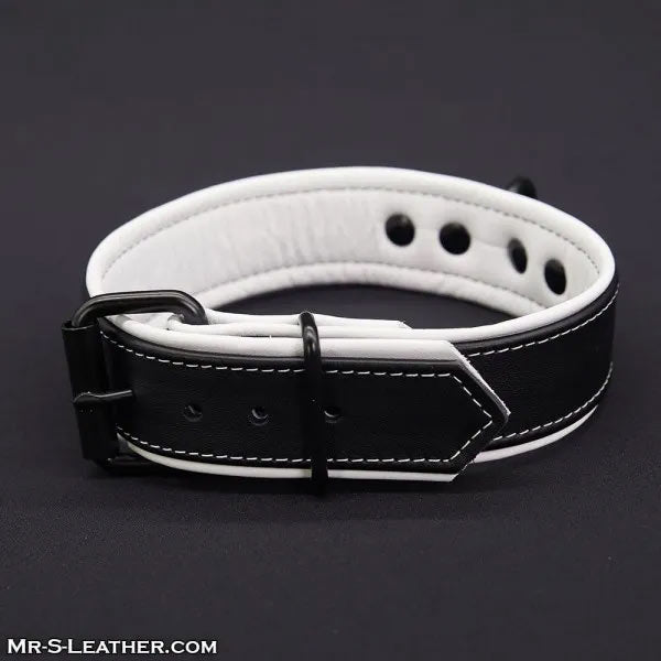 Mr.S Leather Hardline Collar | 11 Colours