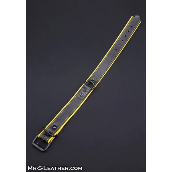 Mr.S Leather Hardline Collar | 11 Colours
