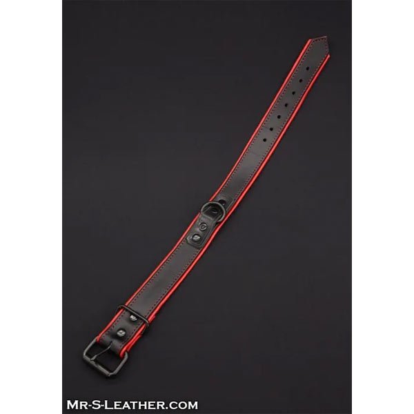 Mr.S Leather Hardline Collar | 11 Colours