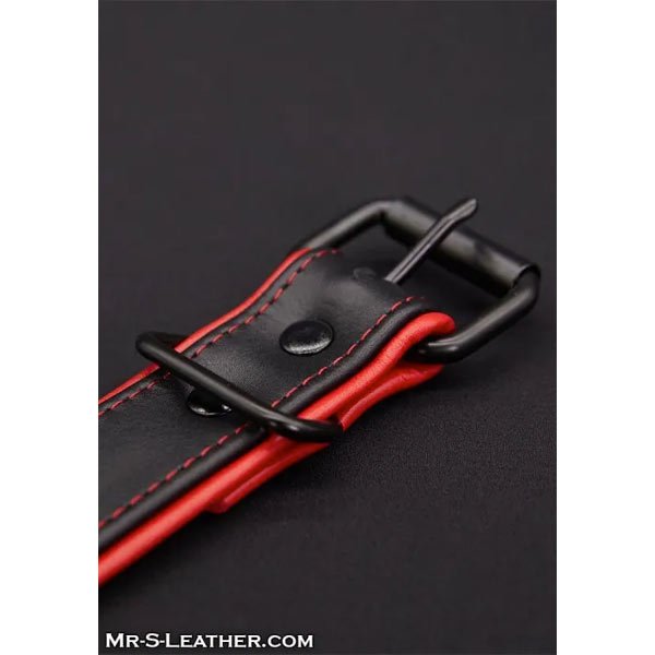 Mr.S Leather Hardline Collar | 11 Colours