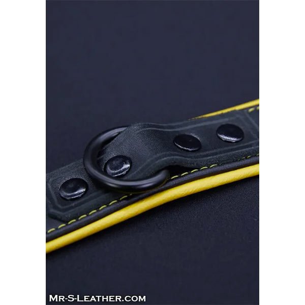 Mr.S Leather Hardline Collar | 11 Colours