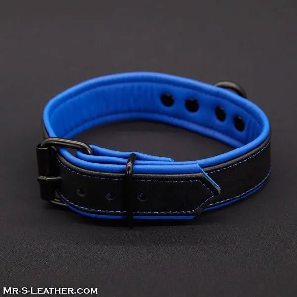 Mr.S Leather Hardline Collar | 11 Colours