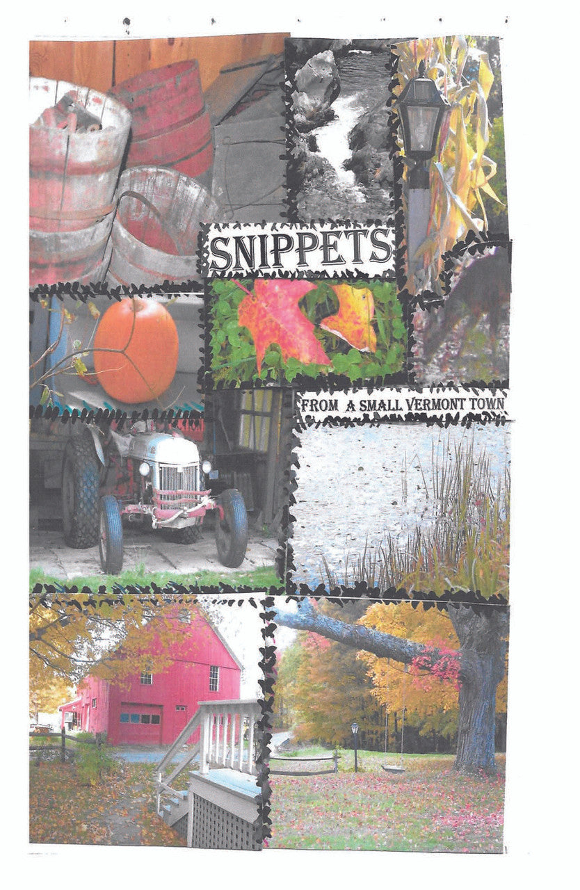 Snippets From A Small Vermont Town